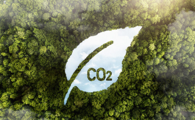 Strategia dla Klimatu. SBTi potwierdza cele Bouygues