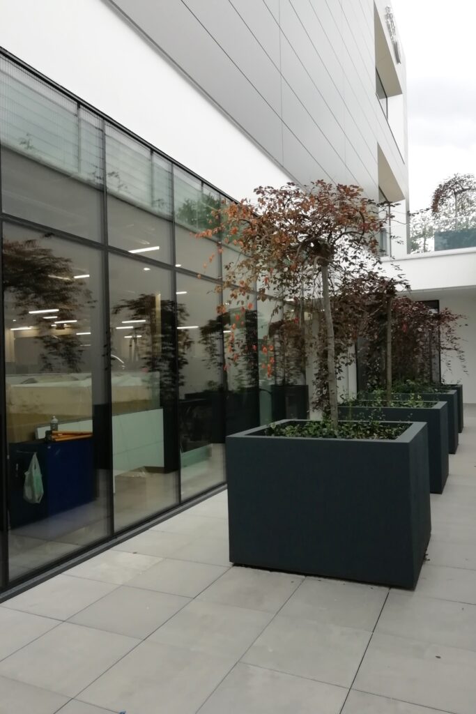 jlr showroom (5)